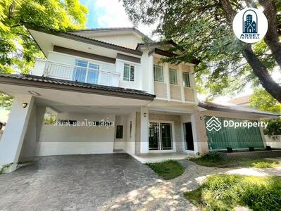 ขาย - Siwalee Sankampang : สีวลี สันกำแพง, เชียงใหม่