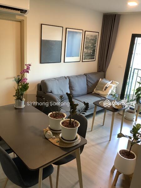 ขาย - The Base Downtown Khon Kaen : เดอะ เบส ดาวน์ทาวน์ ขอนแก่น, ขอนแก่น