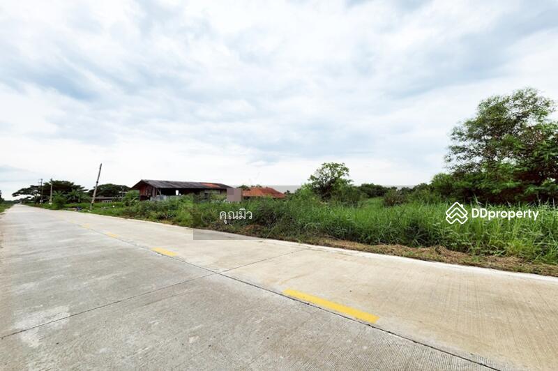 ขาย - ขายที่ดิน 13 ไร่ คลองห้า, ปทุมธานี