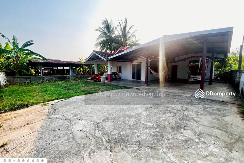 ขาย - DD-894450 บ้านเดี่ยว โนนสะอาด อุดรธานี ใกล้โรงเรียนโนนสะอาดพิทยาสรรค์, อุดรธานี