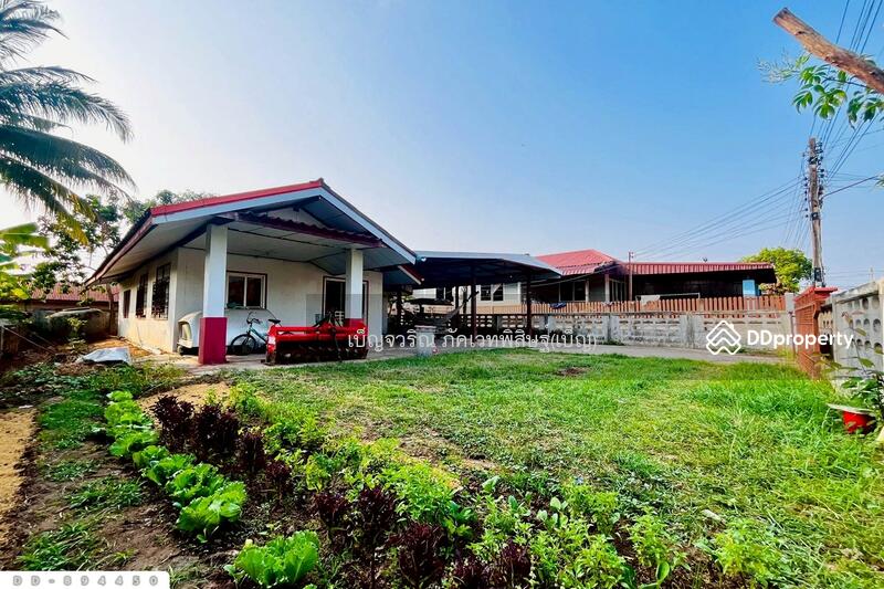 ขาย - DD-894450 บ้านเดี่ยว โนนสะอาด อุดรธานี ใกล้โรงเรียนโนนสะอาดพิทยาสรรค์, อุดรธานี