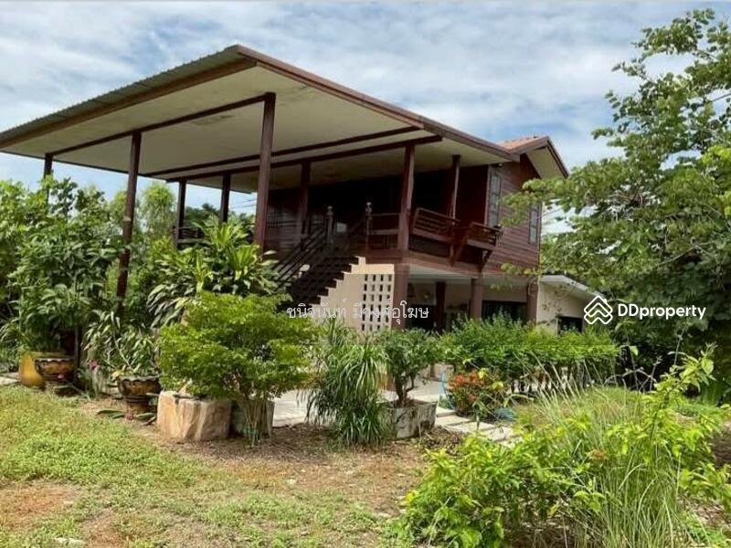 For Sale - Land 8 rai near Wihandaeng Hospital Saraburi, Saraburi