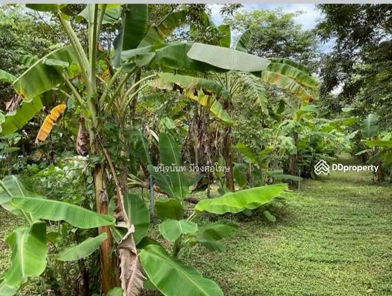 For Sale - Land 8 rai near Wihandaeng Hospital Saraburi, Saraburi
