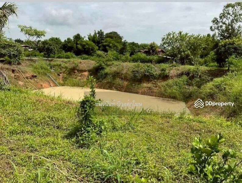For Sale - Land 8 rai near Wihandaeng Hospital Saraburi, Saraburi