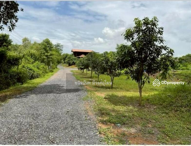For Sale - Land 8 rai near Wihandaeng Hospital Saraburi, Saraburi
