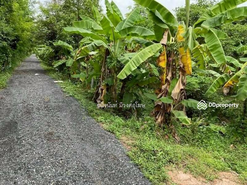For Sale - Land 8 rai near Wihandaeng Hospital Saraburi, Saraburi