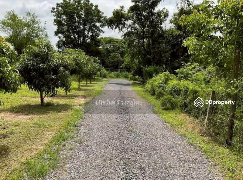 For Sale - Land 8 rai near Wihandaeng Hospital Saraburi, Saraburi