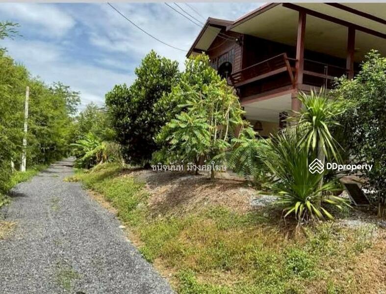 For Sale - Land 8 rai near Wihandaeng Hospital Saraburi, Saraburi