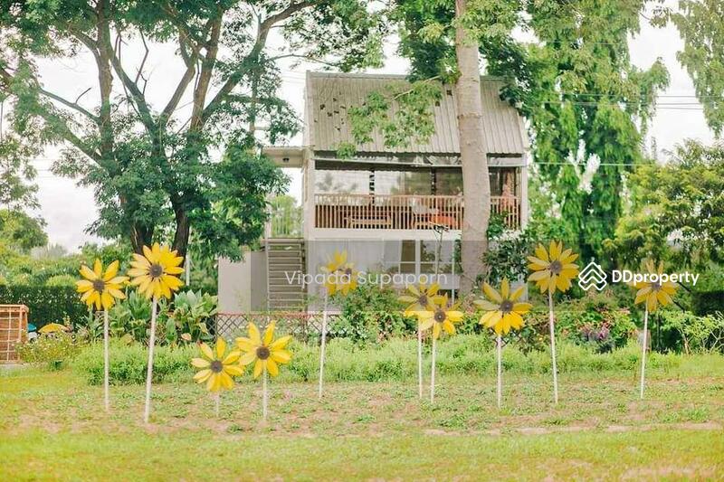 For Rent - Don Kaeo, Chiang Mai