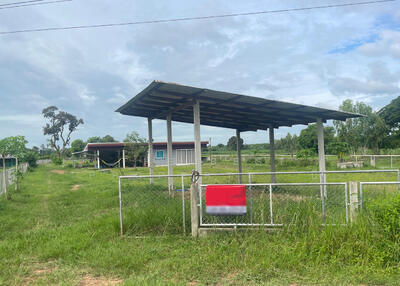 ขาย - บ้านเดี่ยวพร้อมที่ดินนายม อำนาจเจริญ, อำนาจเจริญ