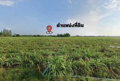 ขาย - ที่ดินโพธาราม ราชบุรี, ราชบุรี