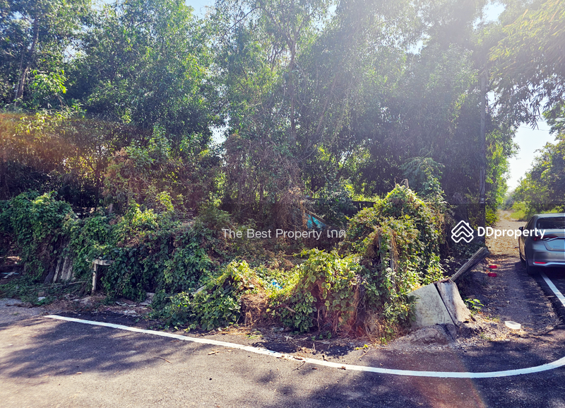 ขาย - ที่ดินลาดหลุมแก้ว ปทุมธานี, ปทุมธานี