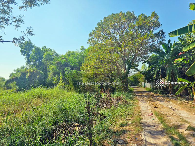 ขาย - ที่ดินลาดหลุมแก้ว ปทุมธานี, ปทุมธานี