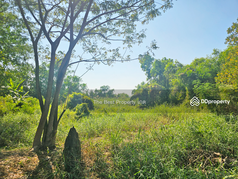 ขาย - ที่ดินลาดหลุมแก้ว ปทุมธานี, ปทุมธานี