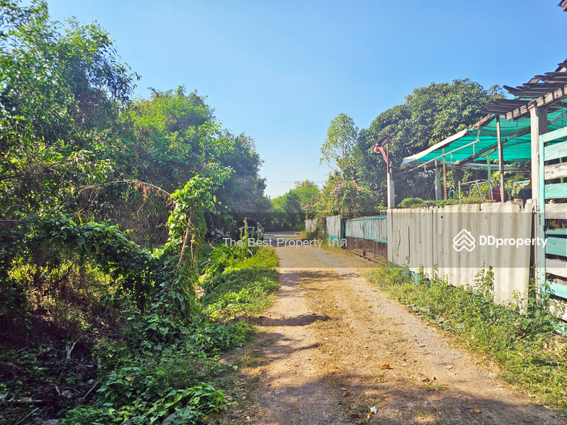 ขาย - ที่ดินลาดหลุมแก้ว ปทุมธานี, ปทุมธานี