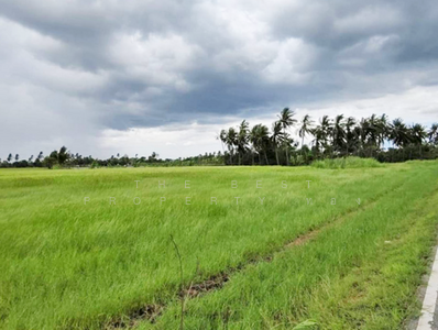 ขาย - ที่ดินอัมพวา สมุทรสงคราม, สมุทรสงคราม