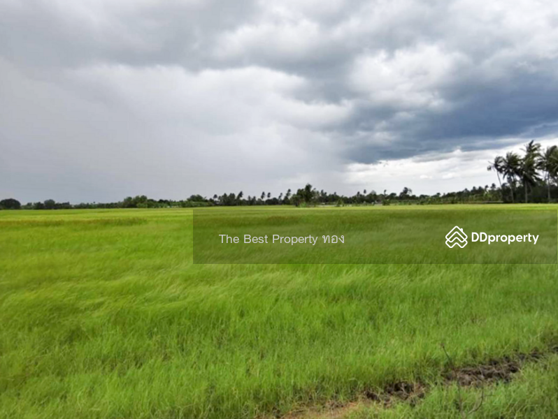 ขาย - ที่ดินอัมพวา สมุทรสงคราม, สมุทรสงคราม