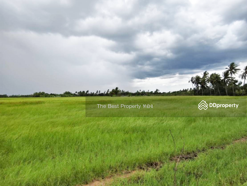 ขาย - ที่ดินอัมพวา สมุทรสงคราม, สมุทรสงคราม