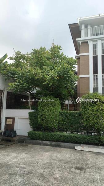 ขาย - 905511T For Sale Baan Klang Krung The Nice Ratchavipa, กรุงเทพ