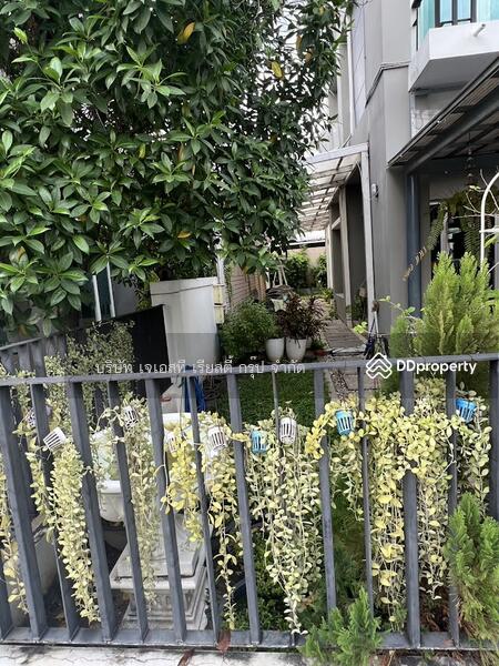 For Rent - For rent, home office, twin house, 3 floors, Bangkok