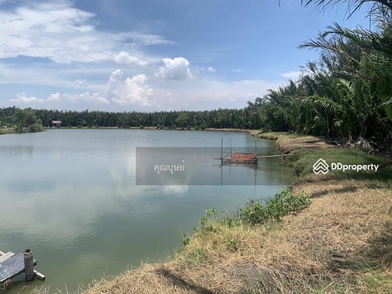 ขาย - Sale : Land Suksawad rd. - Wadsakha Tumbon . LamFahPah, สมุทรปราการ