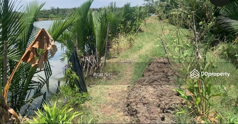 ขาย - Sale : Land Suksawad rd. - Wadsakha Tumbon . LamFahPah, สมุทรปราการ