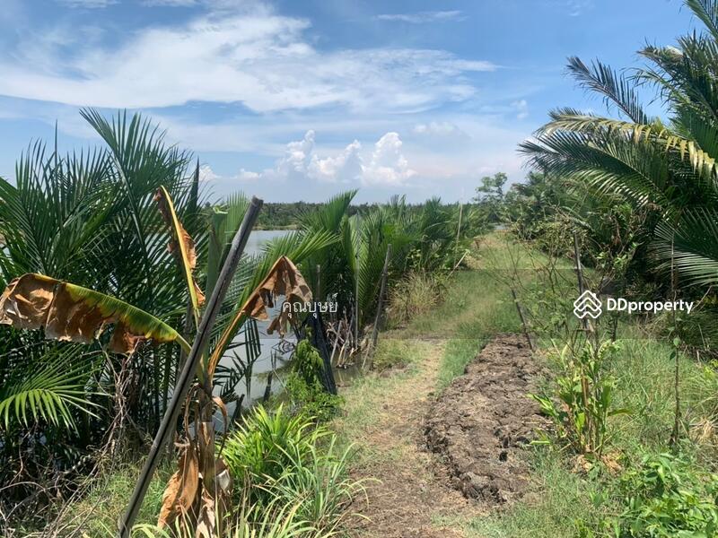 ขาย - Sale : Land Suksawad rd. - Wadsakha Tumbon . LamFahPah, สมุทรปราการ