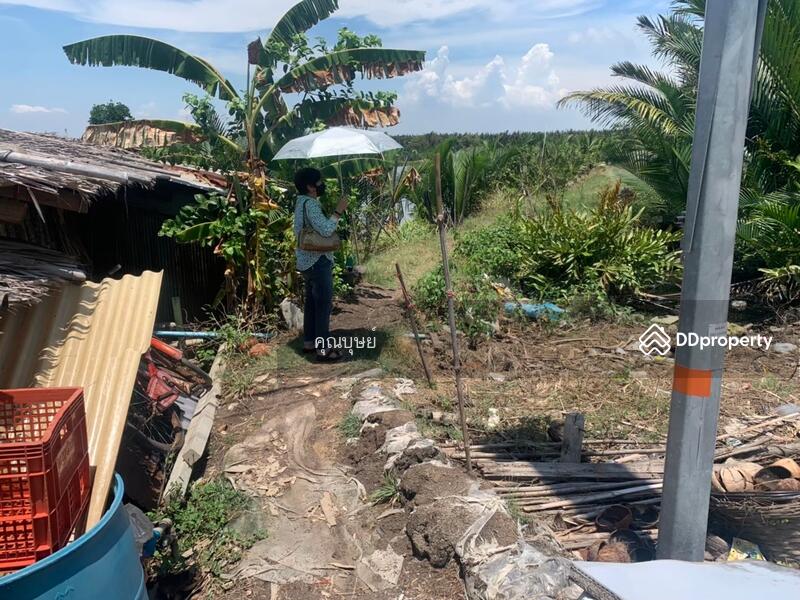 ขาย - Sale : Land Suksawad rd. - Wadsakha Tumbon . LamFahPah, สมุทรปราการ
