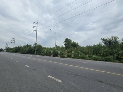 ขาย - ที่ดิน เมืองปทุมธานี, ปทุมธานี