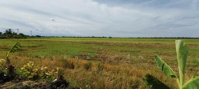 ขาย - ที่ดินเปล่า 4 ไร่ 28.3 ตร.วา บางเลน นครปฐม ราคาถูก, นครปฐม