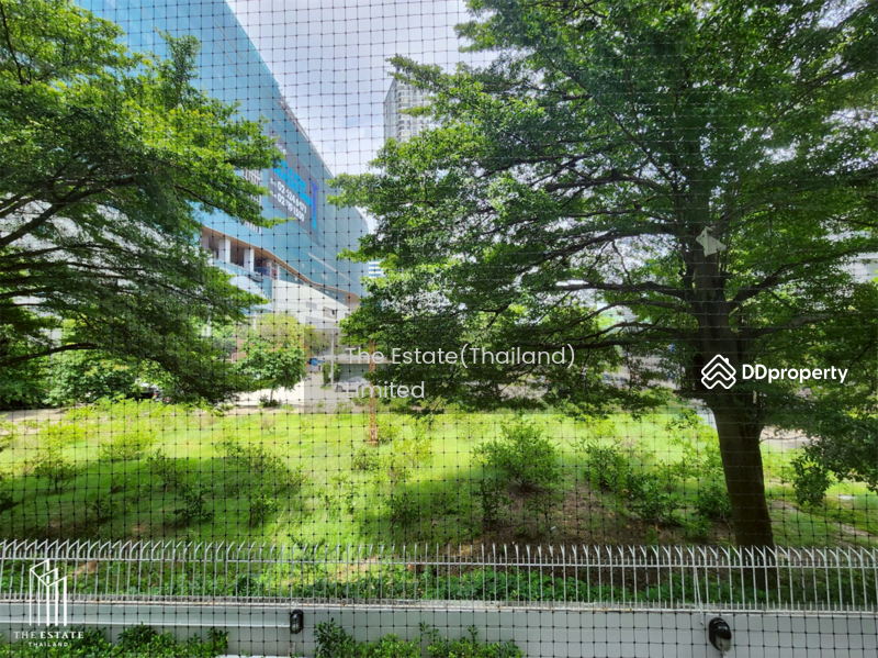 ให้เช่า - The Muse Sukhumvit : เดอะ มิวส์ สุขุมวิท, กรุงเทพ