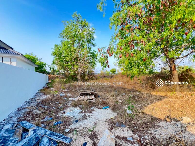 ขาย - ที่ดินพานทอง ชลบุรี, ชลบุรี