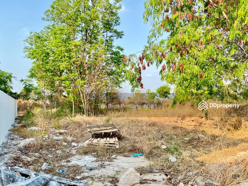 ขาย - ที่ดินพานทอง ชลบุรี, ชลบุรี
