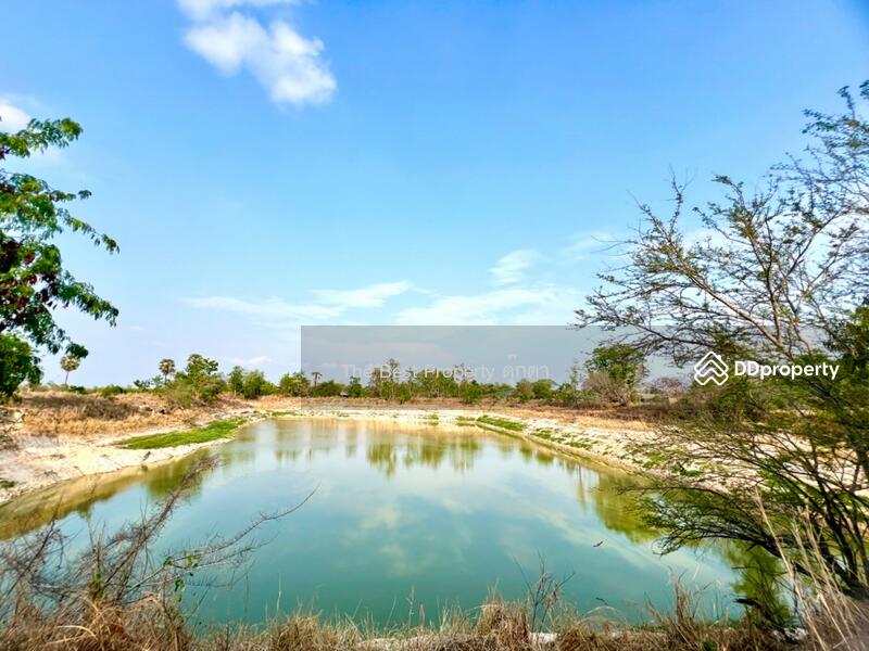 ขาย - ที่ดินพานทอง ชลบุรี, ชลบุรี