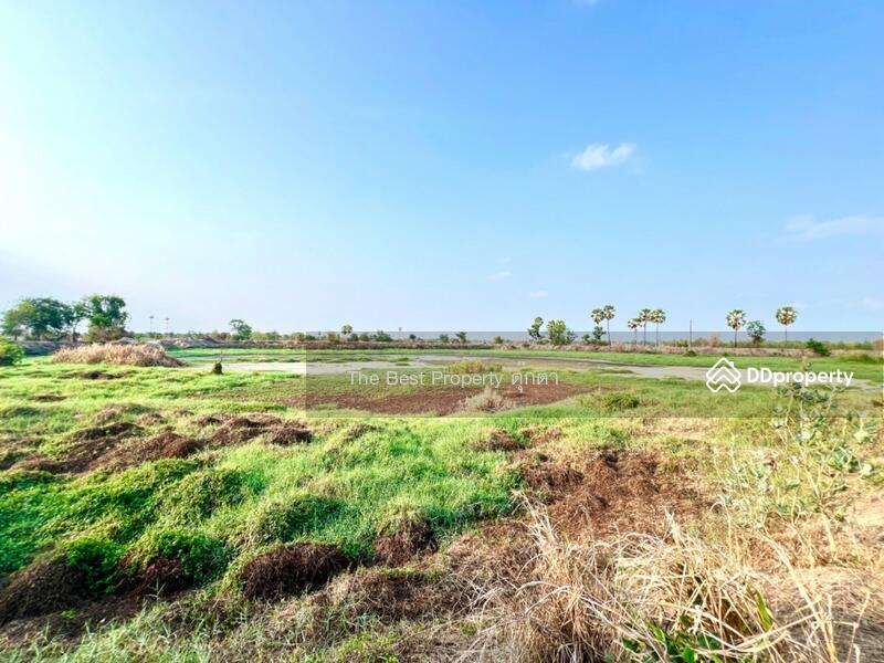 ขาย - ที่ดินพานทอง ชลบุรี, ชลบุรี