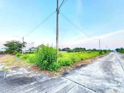 ขาย - ที่ดินบ้านบึง ชลบุรี, ชลบุรี