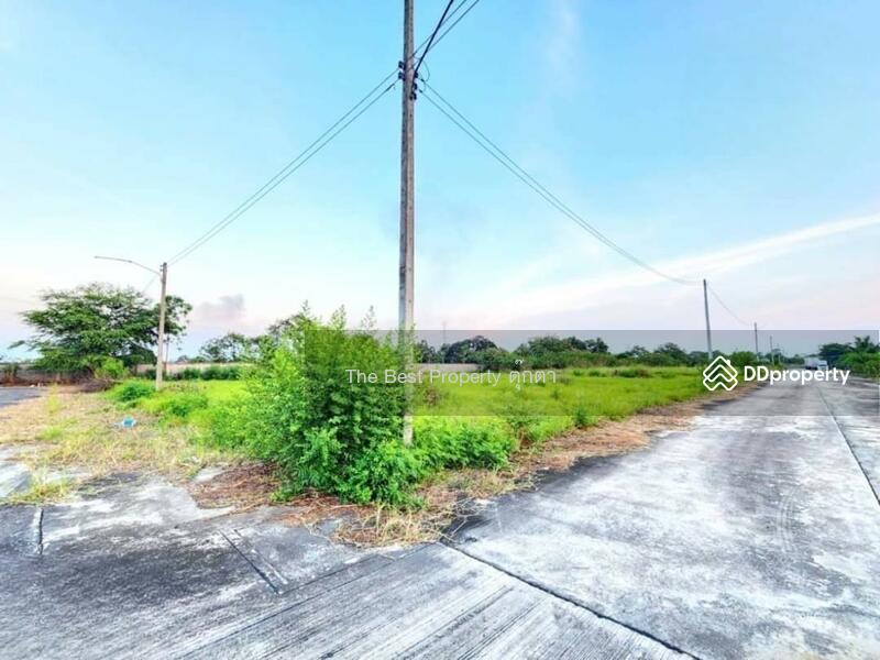 ขาย - ที่ดินบ้านบึง ชลบุรี, ชลบุรี