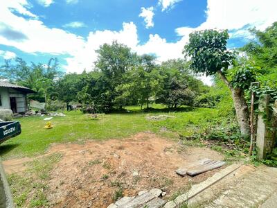 ขาย - ที่ดินดอยลาน เชียงราย, เชียงราย