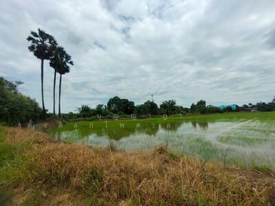 ขาย - ขายที่ดินเปล่า 385.2 ตารางวา ต.สระกะเทียม นครปฐม ที่ดินไม่ถึงล้าน คุ้มค่า เก็บทำกำไรได้ !, นครปฐม