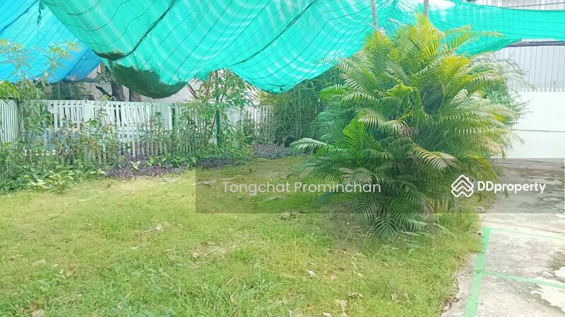 For Rent - standalone for rent, Sukhumvit, Klong Toei, Bangkok