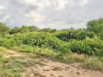 ขาย - ที่ดินบางปะหัน พระนครศรีอยุธยา, พระนครศรีอยุธยา