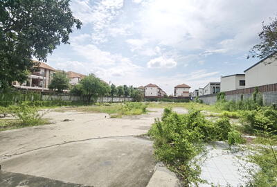 ขาย - ที่ดิน ทำเลทอง บางไผ่พัฒนา บางไผ่ เมืองนนทบุรี นนทบุรี, นนทบุรี