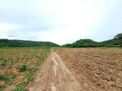 ขาย - ขายที่ดินเปล่าเขาใหญ่ ตำบล หมูสี อำเภอปากช่อง นครราชสีมา ใกล้ถนนธนรัชต์-เขาใหญ่เพียง 500 เมตร, นครราชสีมา