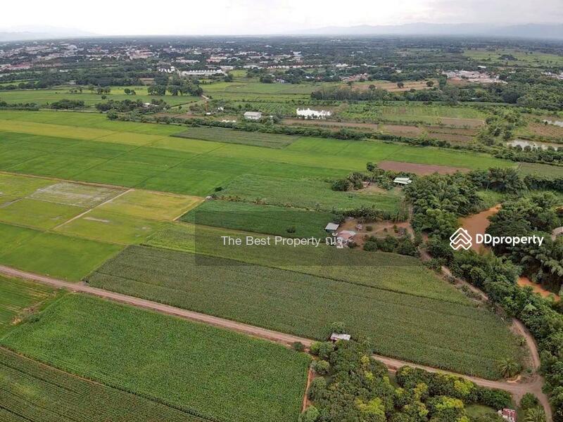 ขาย - ที่ดินสะเดียง เพชรบูรณ์, เพชรบูรณ์