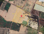 ขายที่ดิน ชลบุรี พนัสนิคม หนองเหียง : land for sell Chonburi Phanat Nikom, ชลบุรี