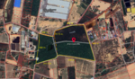 ขายที่ดิน ชลบุรี พนัสนิคม หนองเหียง : land for sell Chonburi Phanat Nikom, ชลบุรี