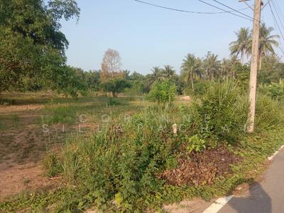 ขาย - นาชะอัง, ชุมพร