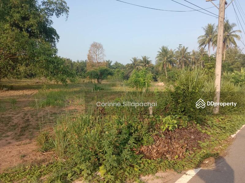 For Sale - Na Cha-Ang, Chumphon, Chumphon