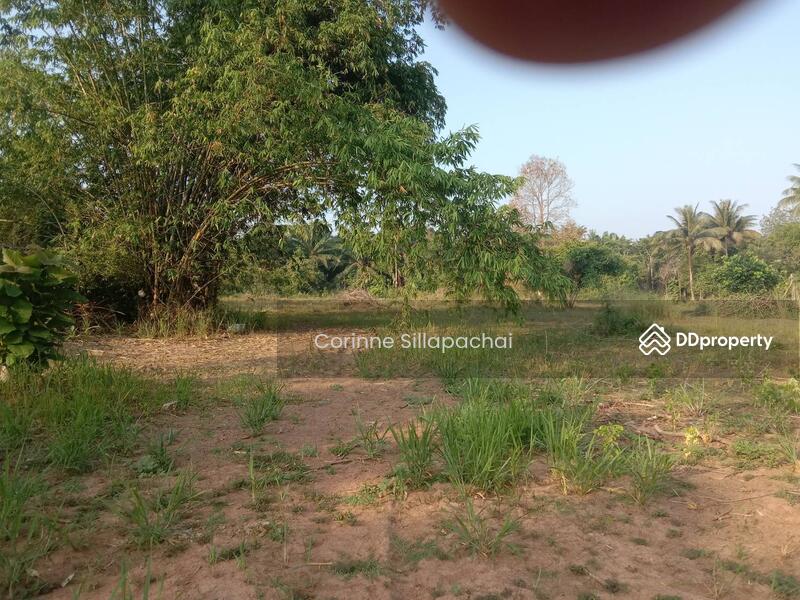 For Sale - Na Cha-Ang, Chumphon, Chumphon