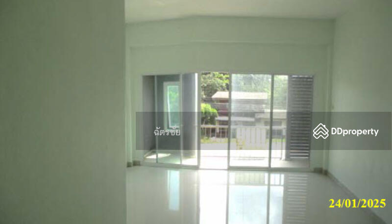 ขาย - ตึกแถว ถ.บ้านโคกม่วง-บ้านเหนือ ต.โคกม่วง อ.คลองหอยโข่ง จ.สงขลา, สงขลา